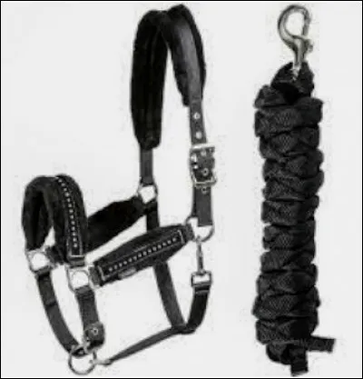 Qu'est-ce que c'est ?