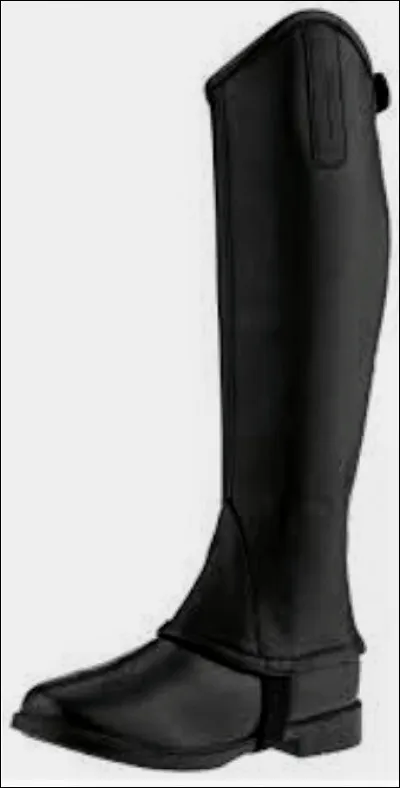 Qu'est-ce que c'est ?