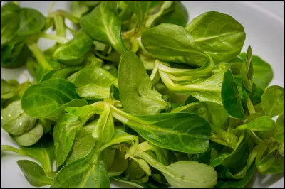 Sous quel autre nom est connue la doucette ?