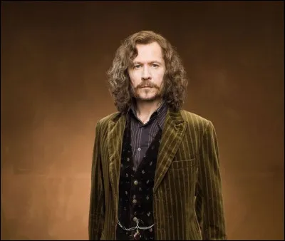 Qui est Sirius Black ?