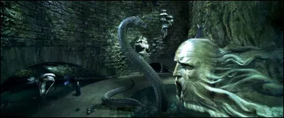 Avec quoi Harry a-t-il tué le basilic ?