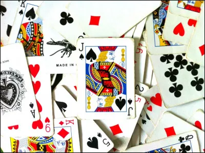 Lequel de ces adjectifs désigne un célèbre jeu de cartes ?