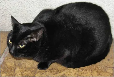 D'après toi, quel est ce personnage Disney ?