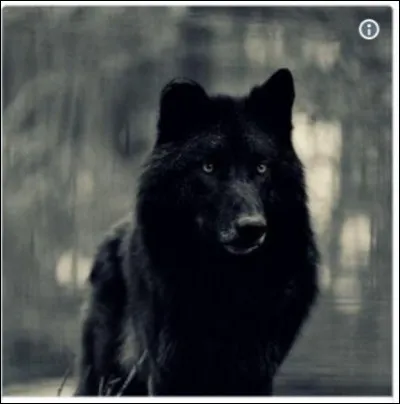 Regarde la photo et trouve la bonne citation !