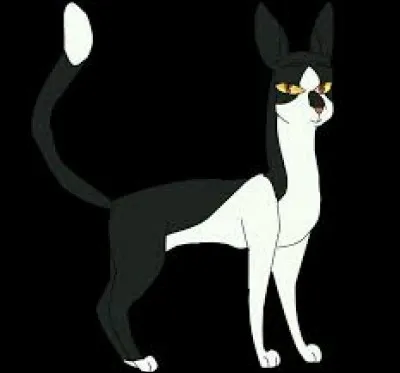 Qui est ce chef du clan du Vent ?