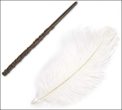 Arrives-tu bien à prononcer : "Wingardium Leviosa" ?