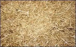 A quoi sert une bonne litire ?