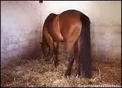 Qu'est-ce qu'une litire en bateau ?