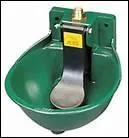 Avec un travail d'entretien, un cheval boit en moyenne ...