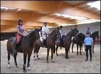 Quelle distance convient-il de laisser entre chaque cheval quand ils sont plusieurs ?