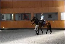 Que faire si le cheval refuse d'avancer ?