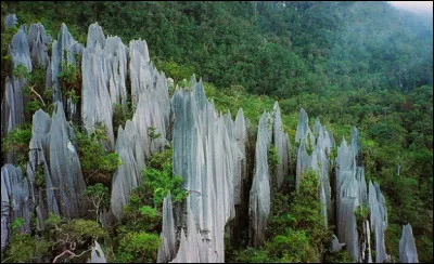 Direction Malaisie ! Comment s'appelle ce parc national ?