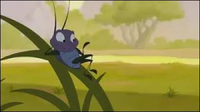 Le criquet est cens&eacute; porter :