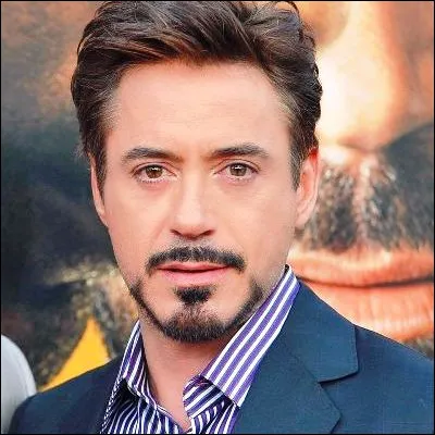 Pour son r&ocirc;le dans quelle s&eacute;rie t&eacute;l&eacute;vis&eacute;e judiciaire Robert Downey Jr. a-t-il remport&eacute; un Golden Globe ?