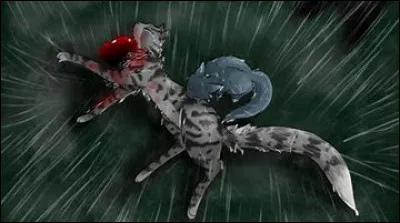 Et les yeux de Fleur de Lune ? Comment sont-ils ?