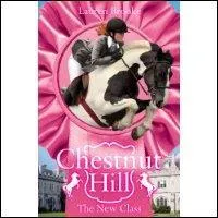 Quelle cole de garons est proche de Chestnut Hill ?