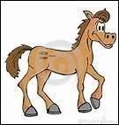 Quelle est la couleur de la rosette gagne par l'quipe de saut d'obstacles de Chestnut Hill lors de la premire comptition interscolaire ?