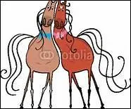 A qui appartient Bluegrass ?