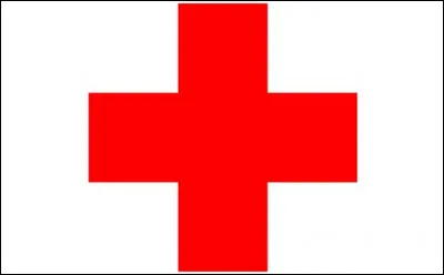 Quel joueur est sorti sur blessure, en pleurant lors de la finale France-Portugal ?