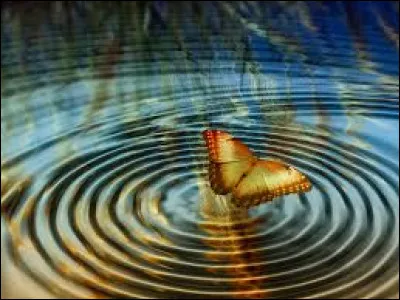 A combien de % es-tu sensible ?