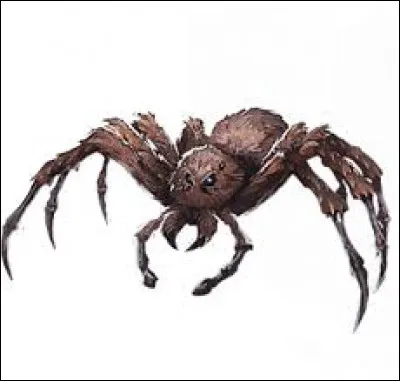 Et là, quel est cet animal ?