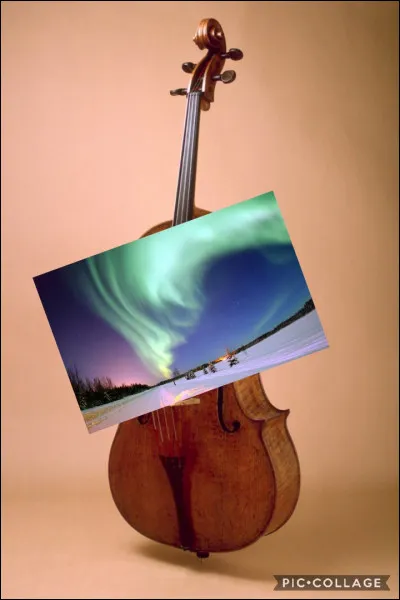 Trouvez le nom de cet instrument de musique !