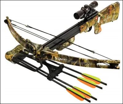 Comment appelle-t-on les projectiles que tirent les arbalètes ?