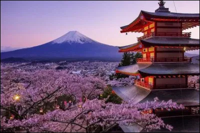 Comment dire "merci" en japonais ?