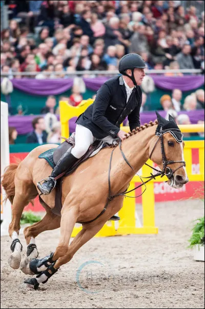 Castle Forbes Cosma, jument championne, prend sa retraite à...