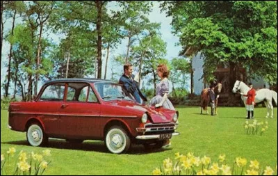 Jolie petite tulipe !