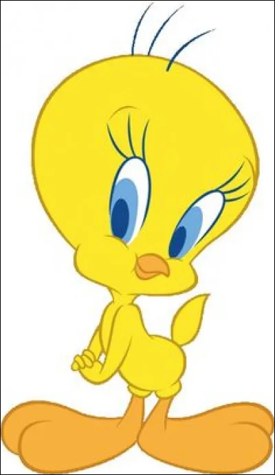 Comment s'appelle ce canari jaune ?