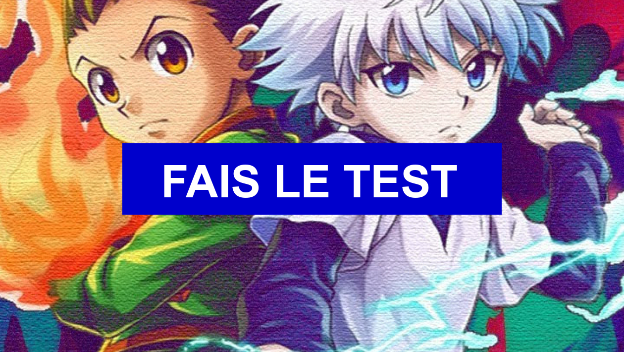 Teste De Personnalité Hunter X Hunter Test de personnalité Peux-tu devenir Hunter ?