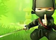 Quiz Culture gnrale - Ninja !