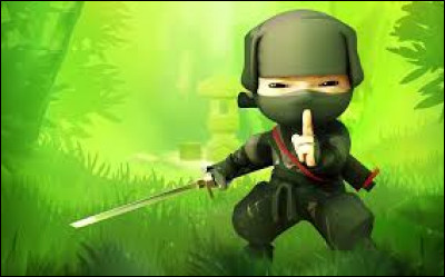 Comment les ninjas sont-ils aussi appelés ?