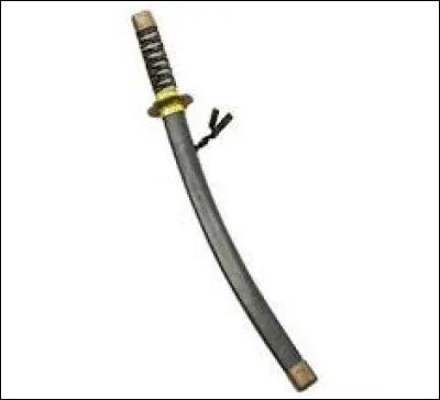 Quel est cet objet ?