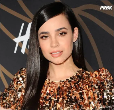 Quel est le nom de cette magnifique actrice américaine ?