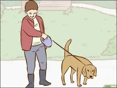 Vos parents vous demandent pourquoi ? Quels arguments allez-vous utiliser ?