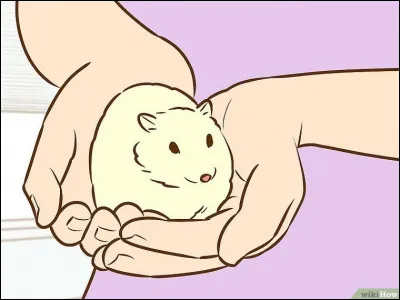 Vous voulez prouver à vos parents que vous pouvez vous occuper d'un chien, mais comment ?