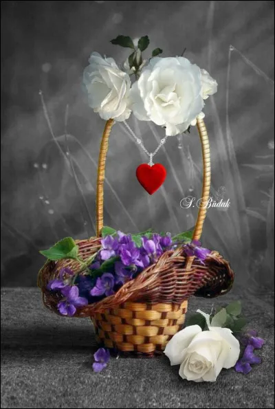 Et une derni&egrave;re pour profiter du b&eacute;n&eacute;fice des fleurs de printemps. Autrefois nos anciens cueillaient les violettes pour en faire des infusions. Quelles sont leurs propri&eacute;t&eacute;s ?