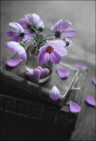 Quelle grande dame ayant cr&eacute;&eacute; la fondation France Libert&eacute;s, est l'auteure du livre "Le Printemps des insoumis" ?