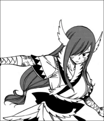 Comment s'appelle cette armure ?