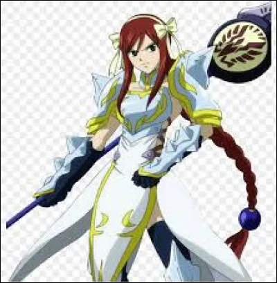 Comment s'appelle cette armure ?