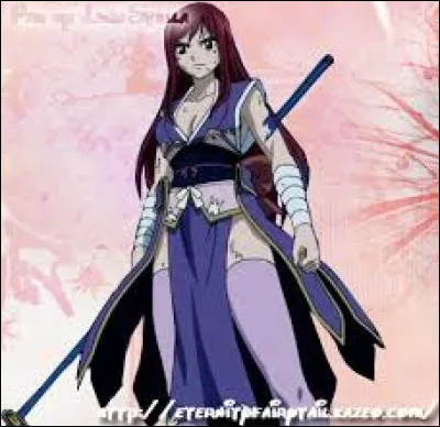 Comment s'appelle cette magnifique armure ?