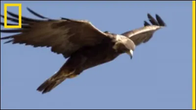 Qui interprète la chanson "Je vole" ?