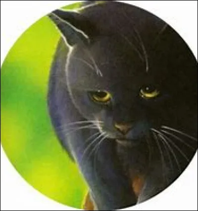 Quel est le vrai nom de Plume de Jais ?