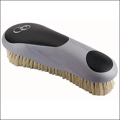 Quelle est cette brosse ?