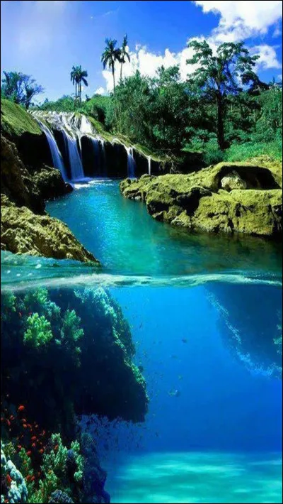 Qu'est-ce que t'inspire la nature ?