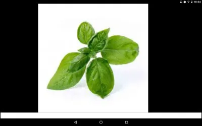 Quel est le jour de la première attaque du basilic dans le tome 2 ?