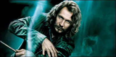Sirius Black a-t-il un rapport avec Harry ? Si oui, lequel ?