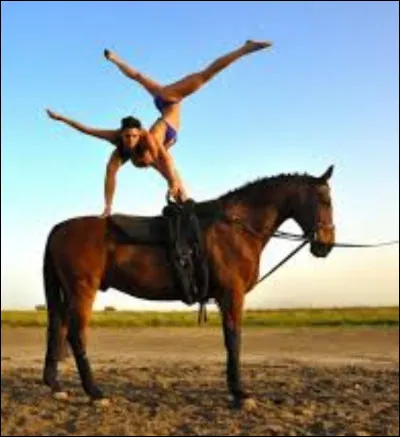 Quelle est cette discipline ?